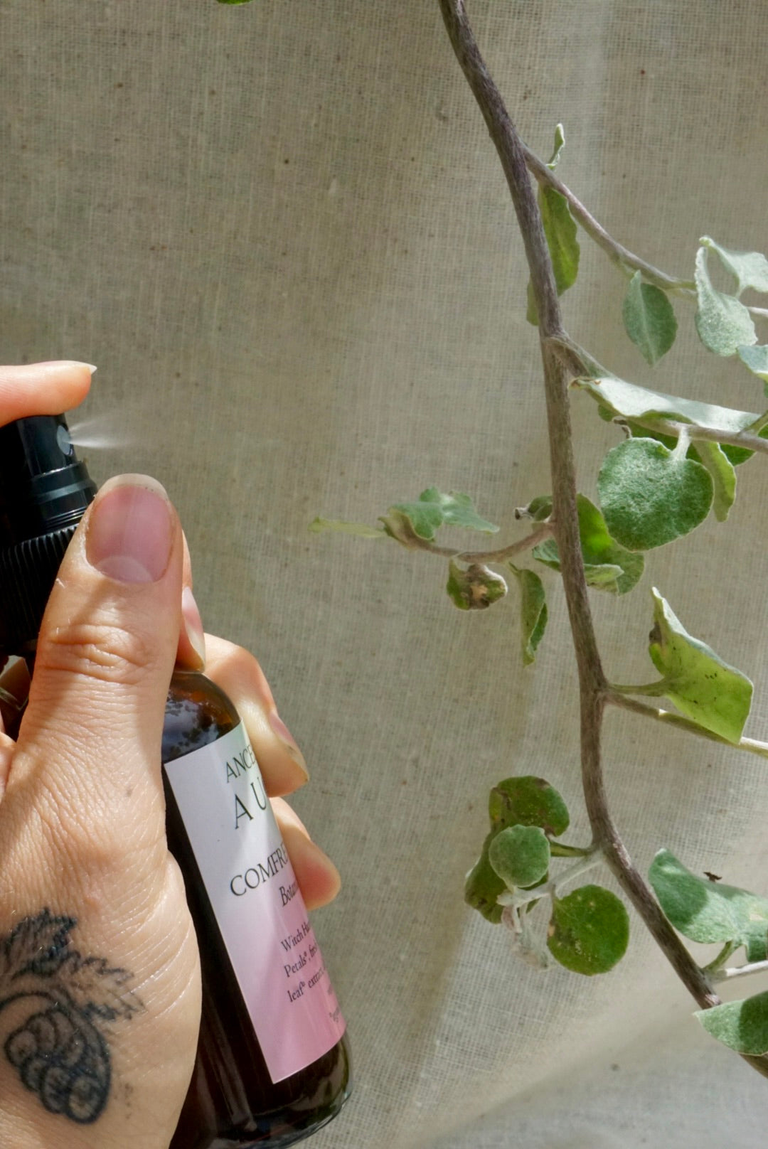 Comfrey & Rose Botanical Toner